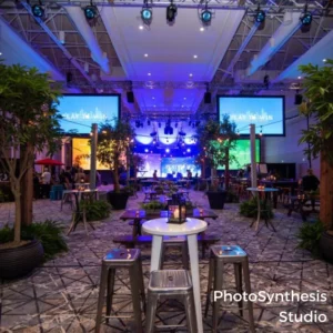 Photosynthesis Photography Venue Shoot